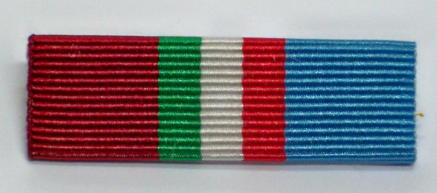 Medaglia Pubblica Sicurezza / Strade Sicure / Domino