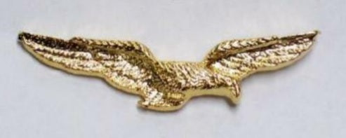 Aquila pilota civile varie misure