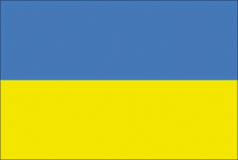 Bandiera ucraina economica