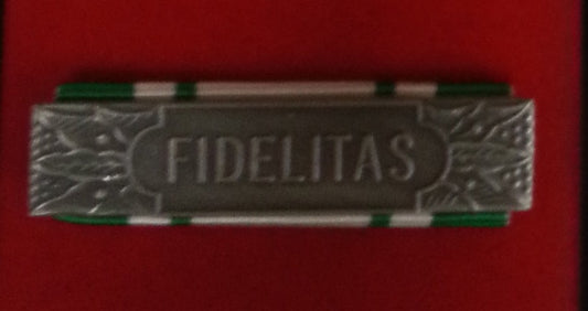 Anzianità 15 anni Croce Rossa Italiana - Nastro / nastrino / medaglia