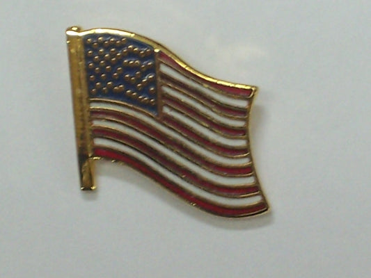 Spilla diplomatica USA