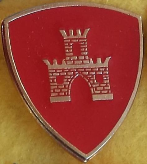 Spilla Divisione Friuli