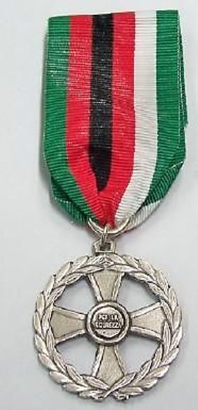 Medaglia Afghanistan - Per la sicurezza – Il Distintivo Pesaro