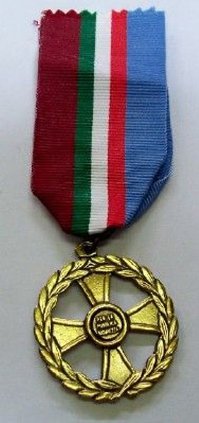 Medaglia Pubblica Sicurezza / Strade Sicure / Domino