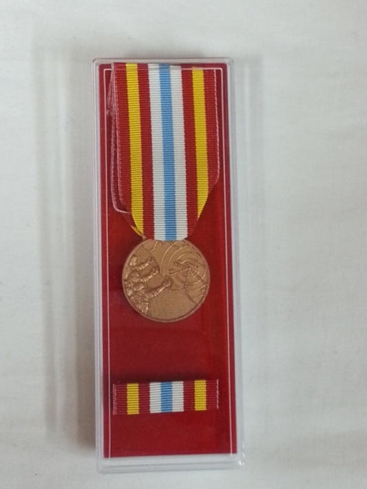 Terremoto Campania e Basilicata - Nastro / nastrino / medaglia