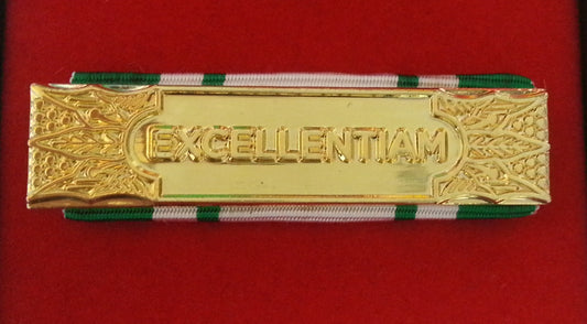 Anzianità 35 anni Croce Rossa Italiana - Nastro / nastrino / medaglia