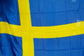 Bandiera svedese economica