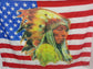 Bandiera Indiano USA