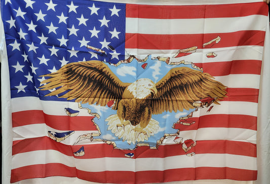 Bandiera americana U.S.A. aquila