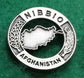 Spilla Afghanistan Nibbio