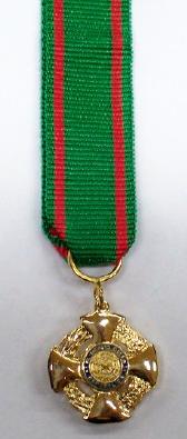 Medaglia / spilla da giacca / nastrino da petto per Ufficiale Ordine della Repubblica